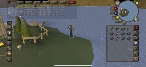 osrs aerial fishing|Aerial fishing 2 questions : r/2007scape